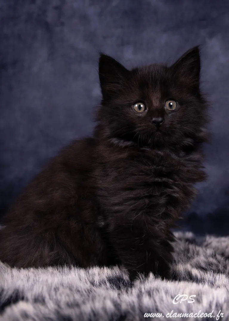 330313013 710581283871918 2148644833500004333 n