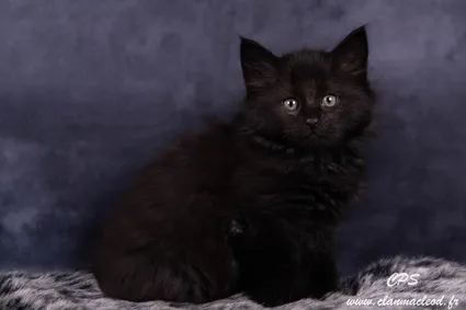 331595640 1230051907934193 3893436974643637812 n