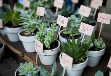 7 astuces pour un mariage écoresponsable