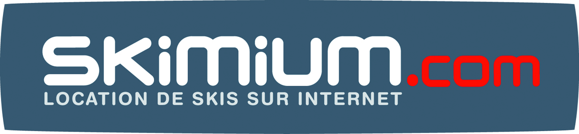 2010 skimium internet