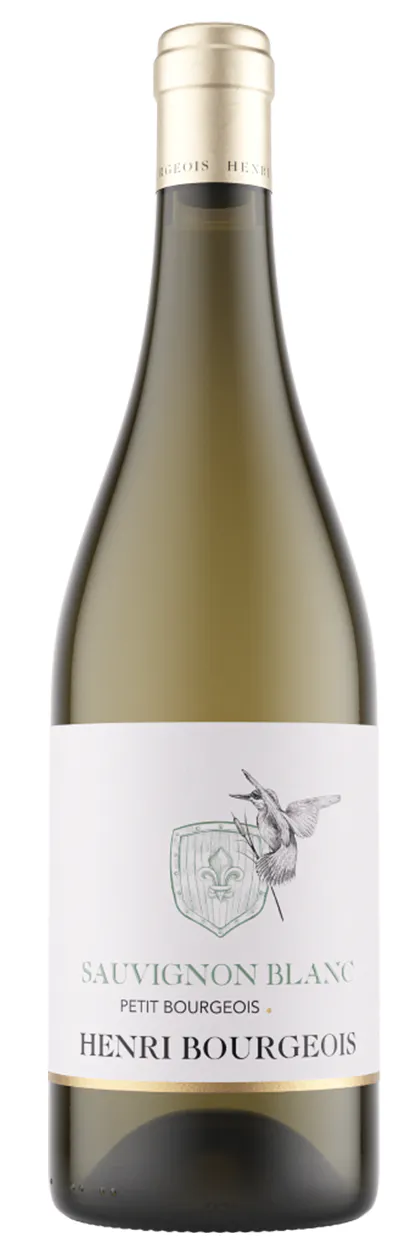 Petit bourgeois sauvignon blanc