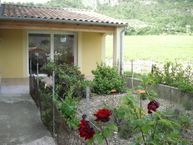 Dsci0001