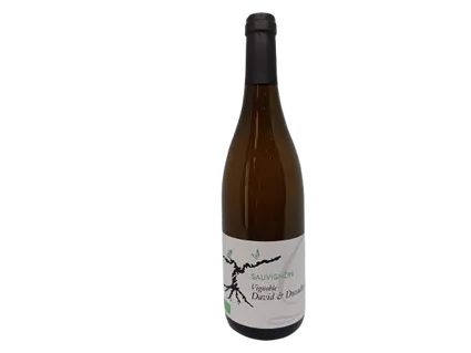 Sauvignon david 4000 x 3000