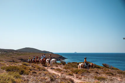 Capture d ecran 2022 03 30 a 14 39 11