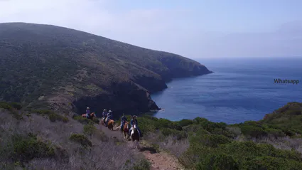 Capture d ecran 2022 03 30 a 14 42 25