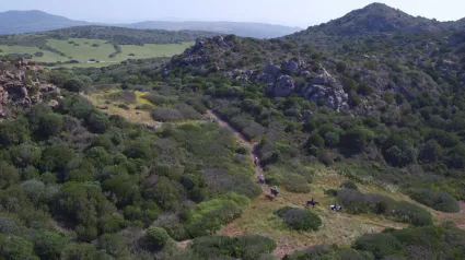 Capture d ecran 2022 03 30 a 14 42 49