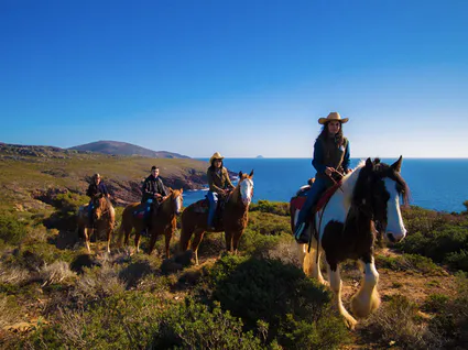 Capture d ecran 2022 03 30 a 14 47 41