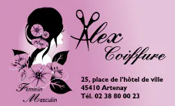 Alex coiffure cv recto