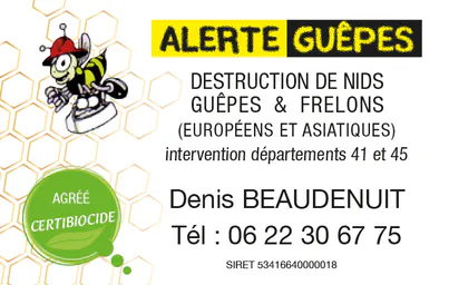 Alerte guepes cv
