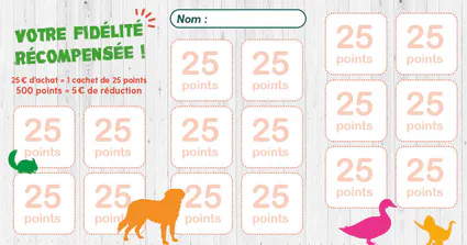 Carte fidelite 3 volets st brice2