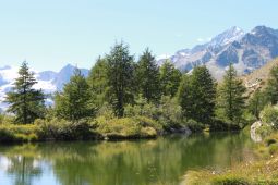 Lac Grindjesee / Photos Alpes et montagnes suisses 