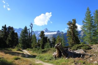 Paysage bucolique et sauvage non loin de Riffelalp / Photos montagnes suisses