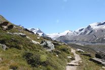 Sentier menant au glacier de Findelen / Adlerhorn en arrière-plan / Suisse