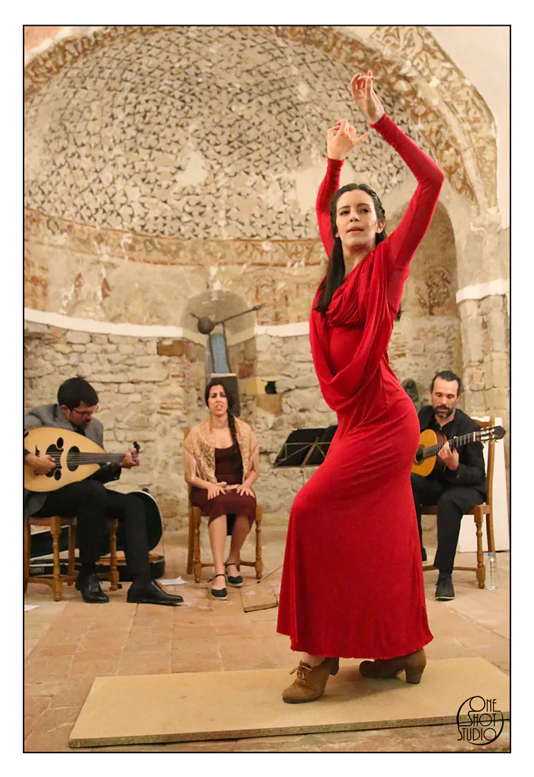 Flamenco 3