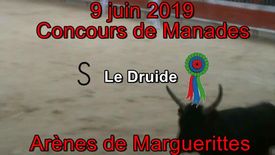 2019 06 09 Le Druide