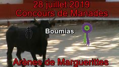 2019 07 28 Boumias