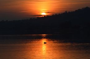 Coucher de soleil et son reflet sur le lac de Neuchâtel / Photos de Suisse