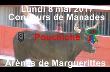 2017 05 08 Pouchiche manade St Pierre
