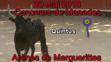 2018 05 20 Quintus