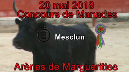 2018 05 20 Mesclun