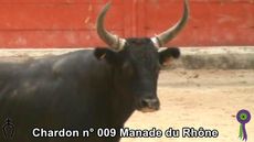 2018 07 28 Chardon n 009 Manade du Rhone