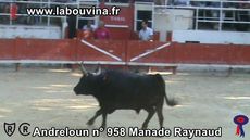 Andreloun n 958 Manade Raynaud