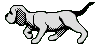 Dog001