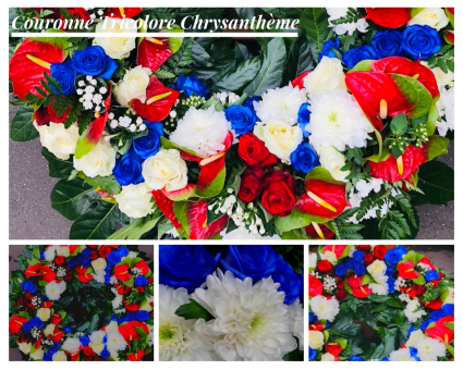 9 couronne tricolore chrysantheme