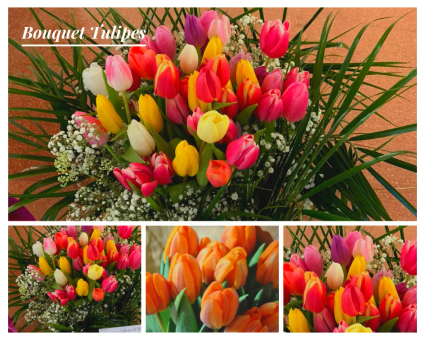 2 bouquet tulipes