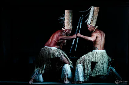 Festival polynesien 86