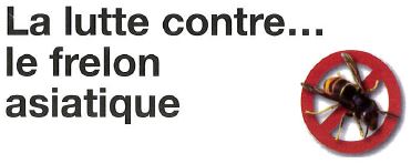 Symbole-lutte-anti-frelons-asiatiques