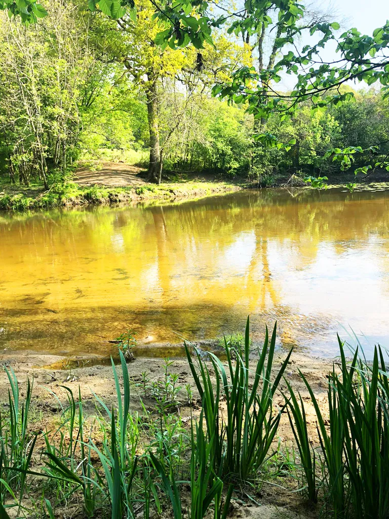 Domaine du chesne la solognote3