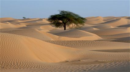 Sahara mauritanie 2cv dunes de sert cyril et sylvie dunes 9