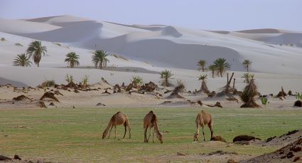 Sahara mauritanie 2cv dunes de sert cyril et sylvie taloghza