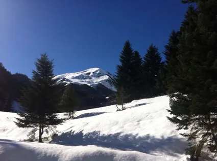 Img 0471