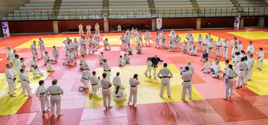 4 ffk stage nationale karate inj 090 mochizuki am