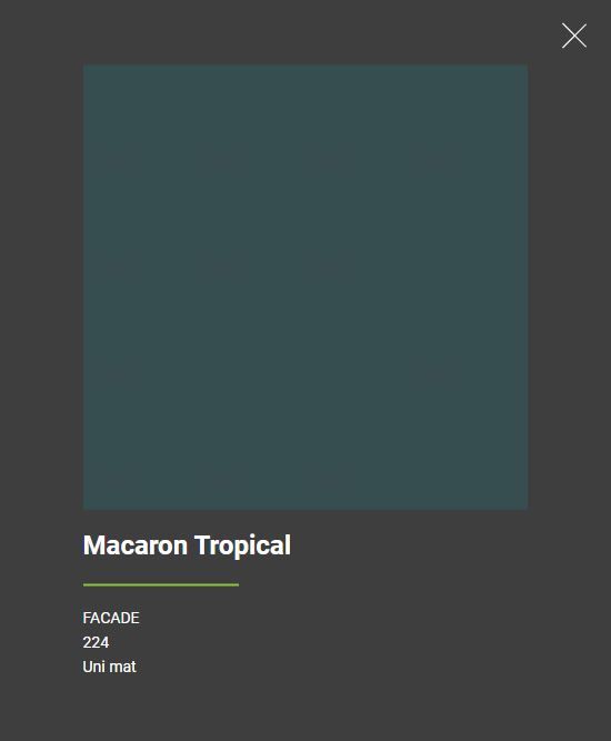 Macaron tropical