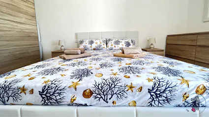 28 casa fenicotteri 7