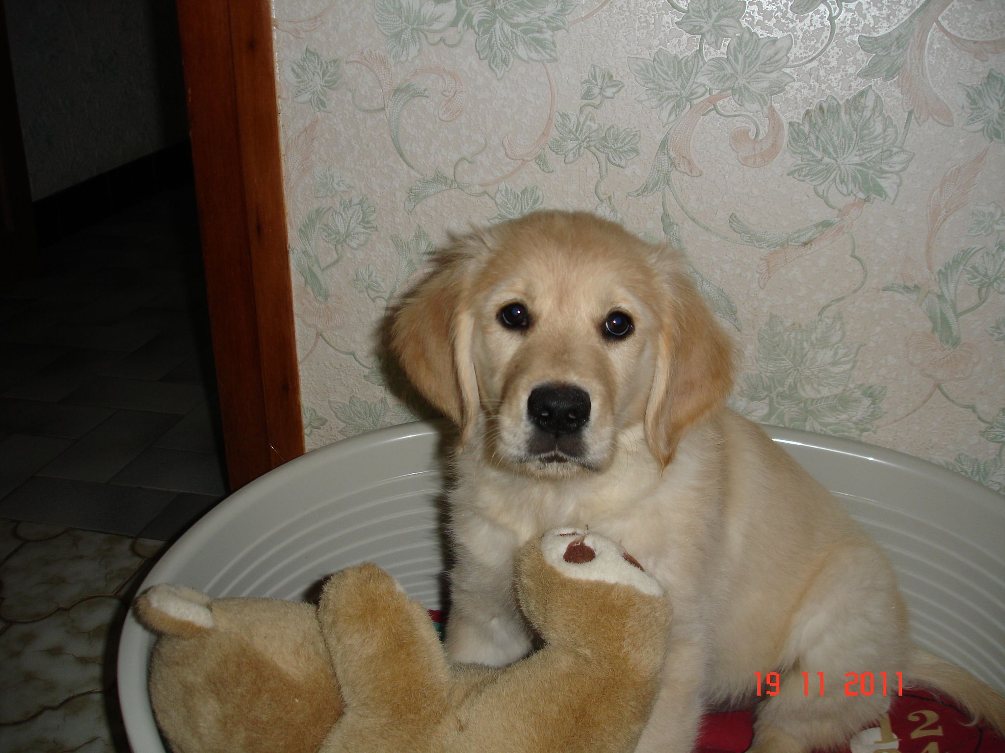 Gimmy 2 mois