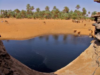 Sahara mauritanie 2cv dunes de sert cyril et sylvie guelta