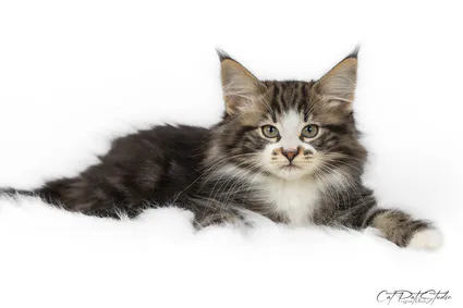 420193368 10210811883771135 7454477152693107333 n