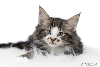 420122085 10210811886131194 4891709100190032892 n