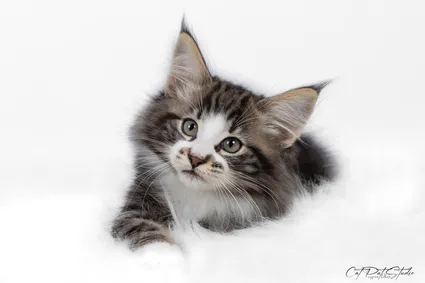 419744279 10210811886771210 5057768759291530768 n