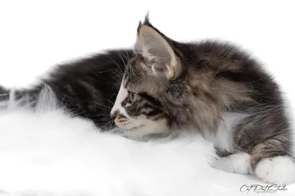 420443992 10210811887611231 1402305247100339840 n