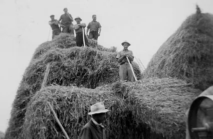 Agriculture3