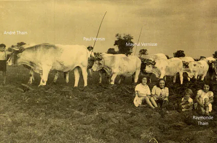 Le lonzat 1943