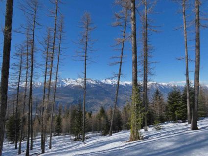 Vue sur les ecrins sud