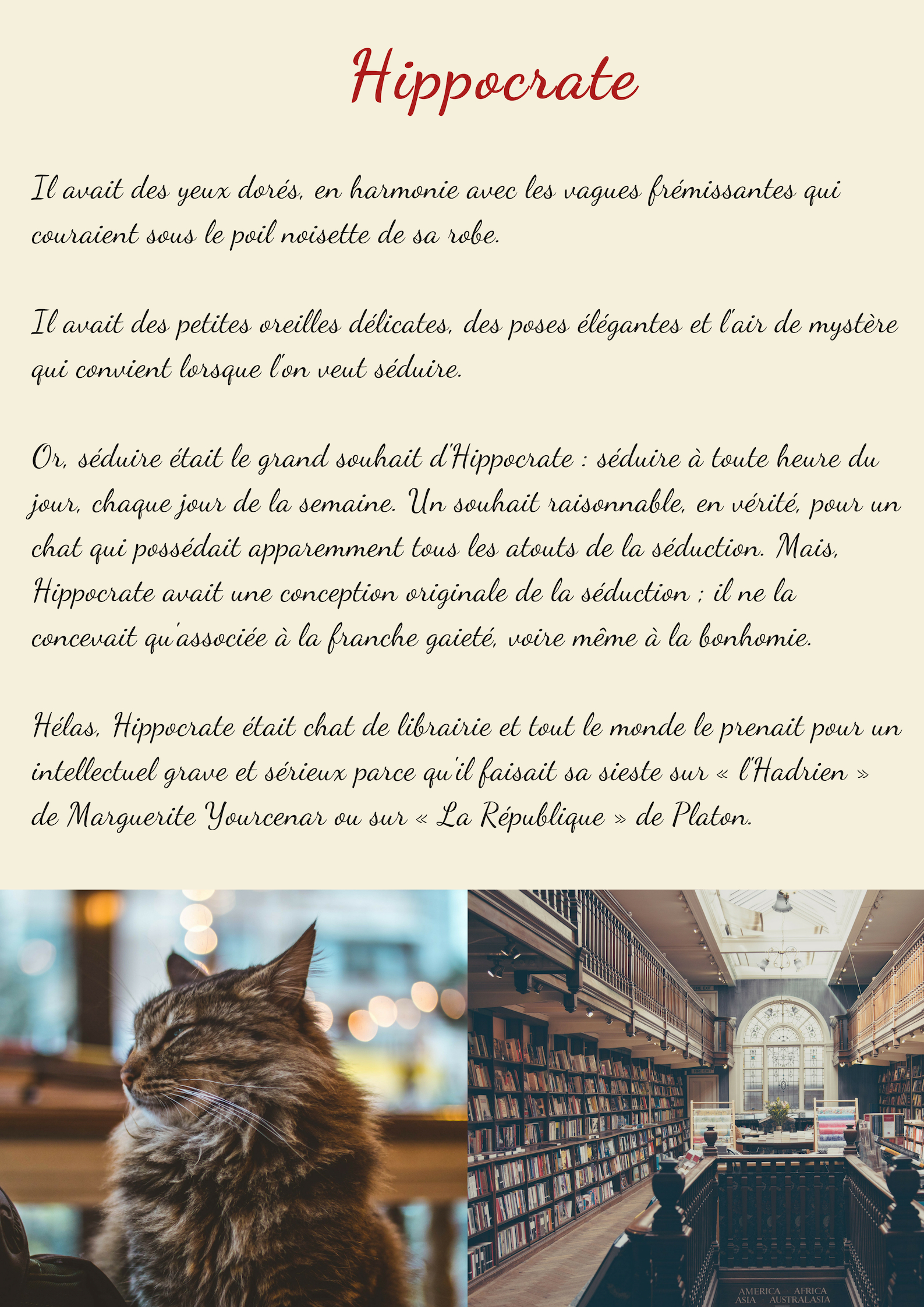 Pag 2