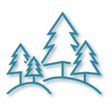 Coupes de Bois