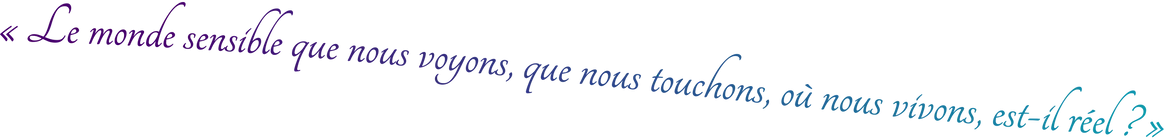 Comprendre la thérapie quantique